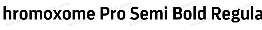 hromoxome Pro Semi Bold Regular字体转换